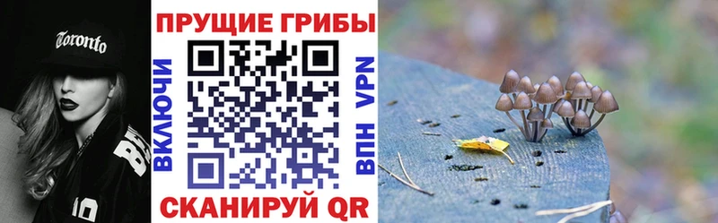 продажа наркотиков  Берёзовский  Галлюциногенные грибы прущие грибы 